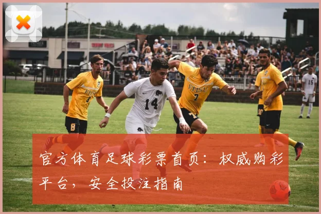 官方体育足球彩票首页:权威购彩平台,安全投注指南